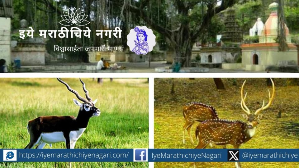 Fauna Census in Sagareshwar Sanctuary