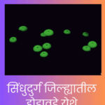 New distributon record of fungi Mycena chlorophos in Hodavada village in Vengurle Taluka Konkan Region