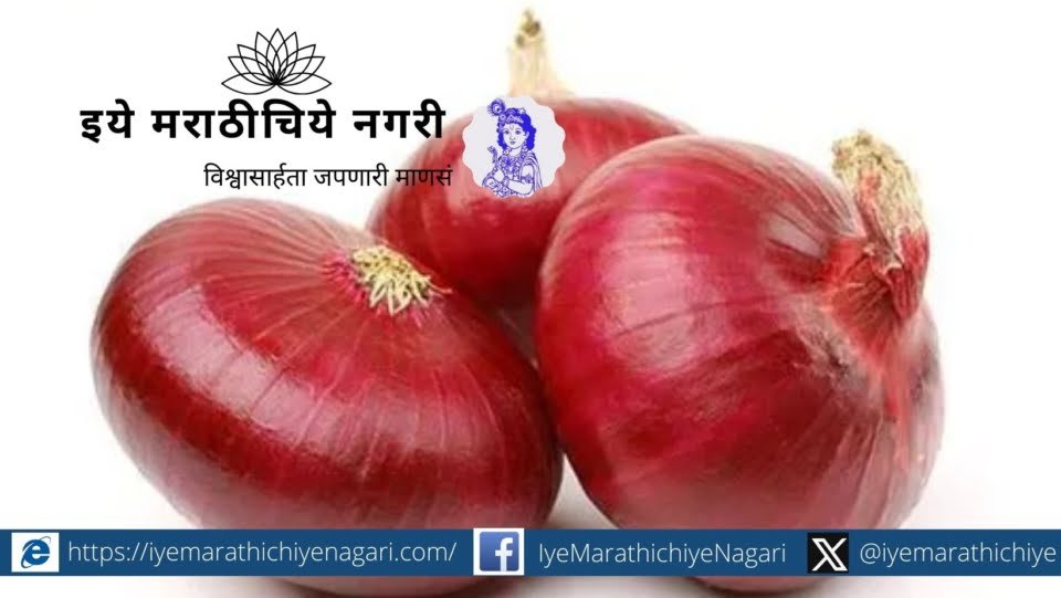 onion-variety-for-kharif-season