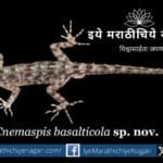 Discovery of two new species of Pali at Kalsubai and Ratangad