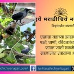 Ficus India Special article by Netra Palkar Apte