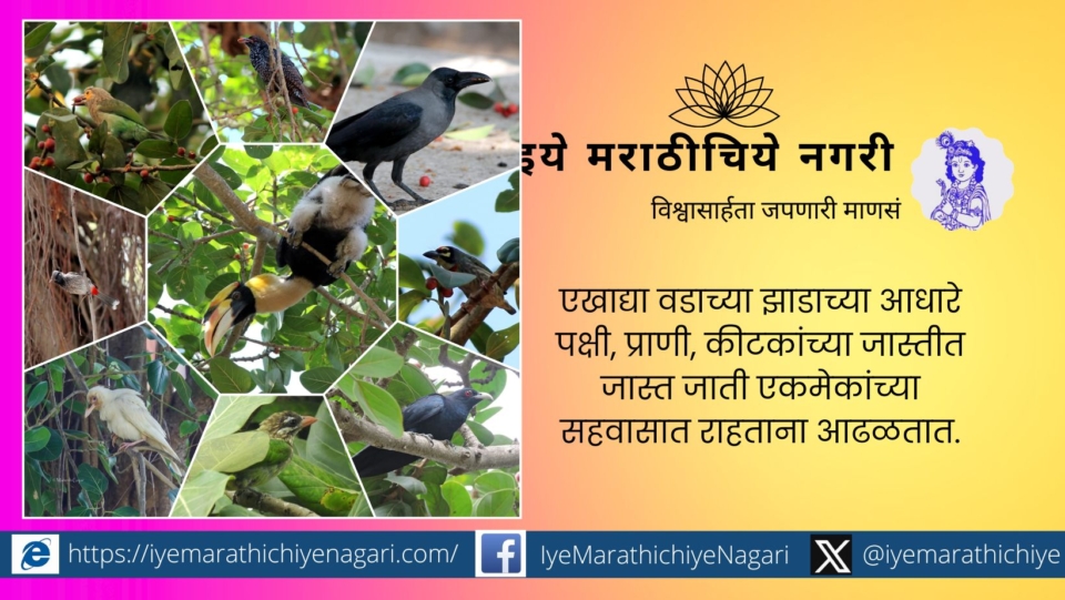 Ficus India Special article by Netra Palkar Apte