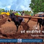 Importance of Agriculture in Future Pratap Chiplunkar article