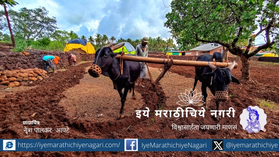 Importance of Agriculture in Future Pratap Chiplunkar article