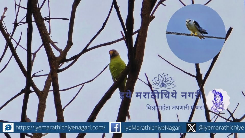 Prashant Satpurte article on evening movements