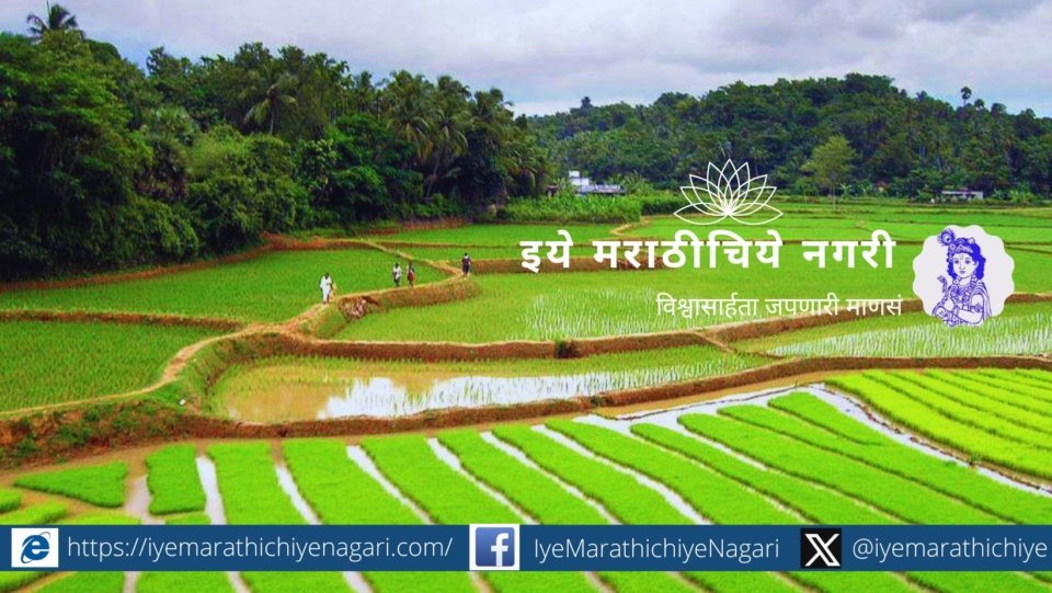 Rain Farm and Crop Nice to see Chandrashekhar Kasar Poem