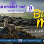 The 18th Mumbai International Film Festival was inaugurated by Billy and Molly An Other Love Story