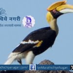 The characteristic sound of Dhanesh bird