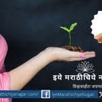 The easiest way to plant a tree grow a tree