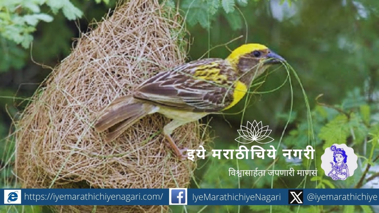 preparation-of-nests by Birds article by Netra Palkar Apte