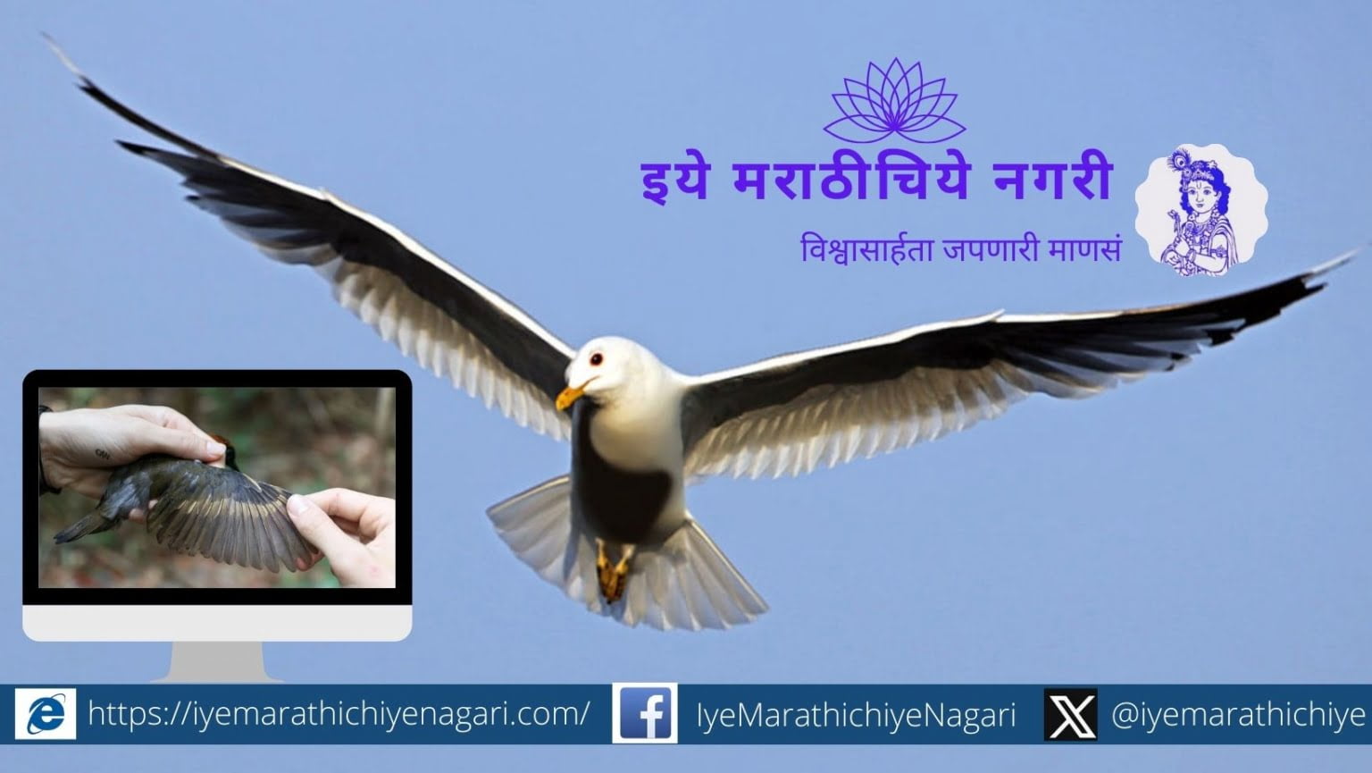 the-size-of-the-birds-is-decreasing-but-the-length-of-the-wings-is-increasing