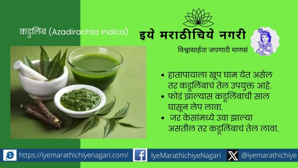 Medicinal use of Neem Tree Azadirachta indica