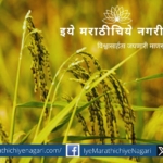 Hybrid Paddy Cultivation Technique