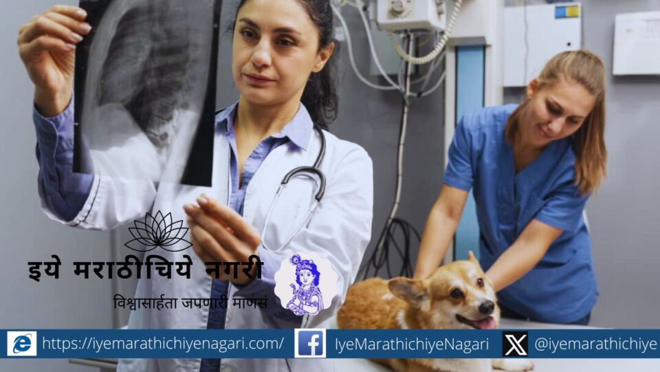 Joke in Veterinary hospital