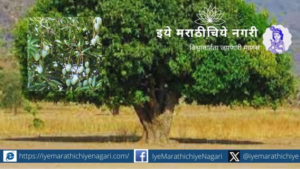 Many indigenous trees including raiwal are destroyed