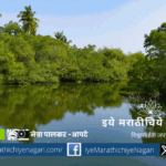 Natural mangroves are mangrove forests