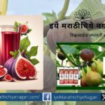 Agricultural Products Export Development Authority APEDA dispatched first consignment of fig juice to Poland