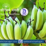 Banana cultivation gained momentum under the Integrated Horticulture Development Mission