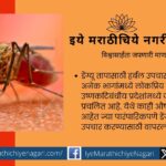 Herbal Remedies for Dengue Fever