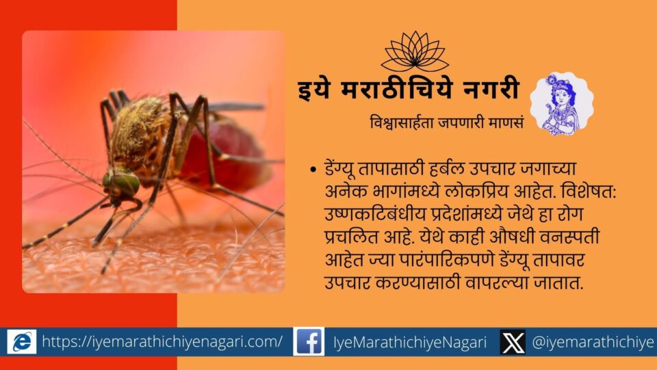 Herbal Remedies for Dengue Fever