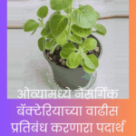 Medicinal Plant useful to overcome Cough