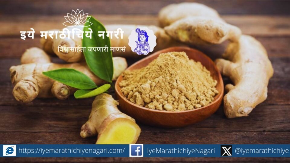 Medicinal importance on Dry Ginger