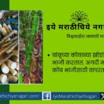 Medicinal properties and uses of wild bamboo