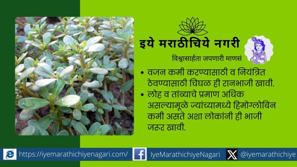 Medicinal properties of chighal or ghol vegetable
