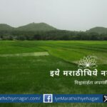Sowing of various crops on 1065 lakh hectares in Kharif this year