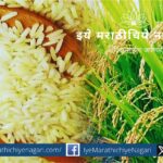 Govt cancels minimum rate floor price on Basmati rice