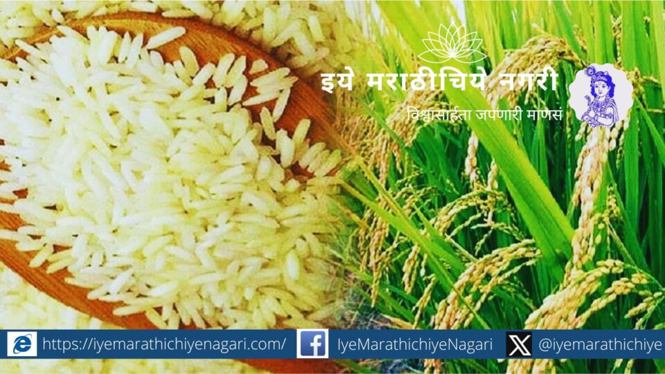 Govt cancels minimum rate floor price on Basmati rice
