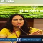 Rice maize yield promising but cotton acreage likely to decline