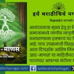 A gathering of humanity in the crowd of trees, tree-people