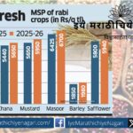 Increase in MSP of rabi crops