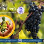 To participate in Ambia Bahar Fruit Crop Insurance Scheme