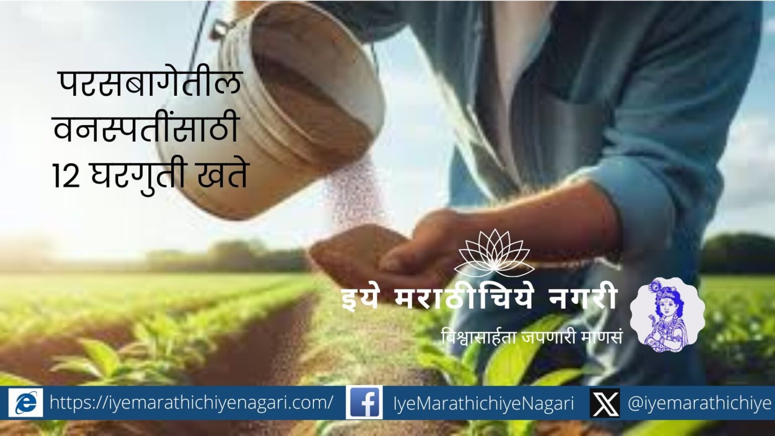 12-homemade-fertilizers-for-garden-plants