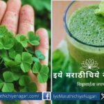 Benefits of Changeri Creeping Wood Sorrel Dr Mansi Patil article