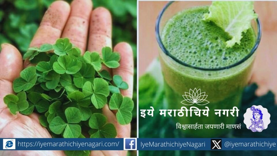 Benefits of Changeri Creeping Wood Sorrel Dr Mansi Patil article