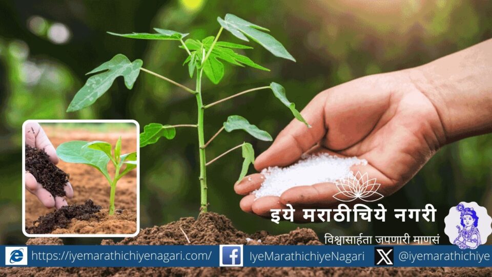 plants that can be used to prepare fertilizers