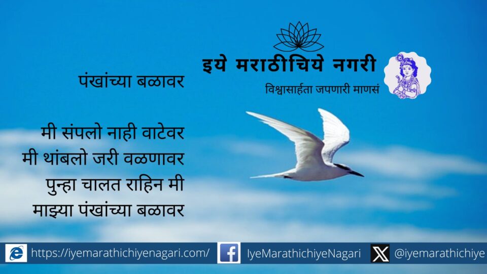 A poem by Chandrashekhar Prabhakar Kasar on the power of wings