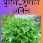 Dr Priya Dandge tips on importace of mint