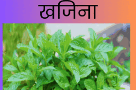 Dr Priya Dandge tips on importace of mint