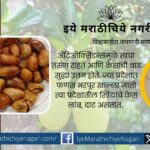 Jackfruit seeds. Nature's alchemy article by Priya Dandge