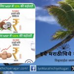 Minimum support price of coconut fixed for 2025 season