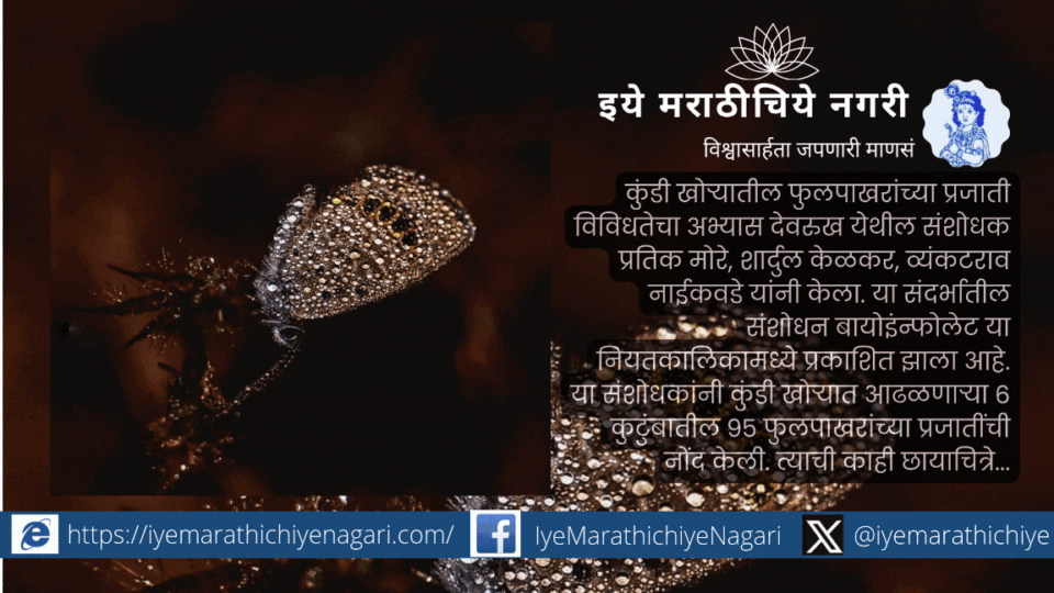 95 species of butterflies from six families recorded in Kundi Valley