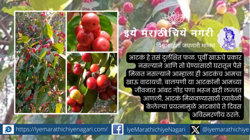 Aatak Fruits in Konkan J D Paradkar article