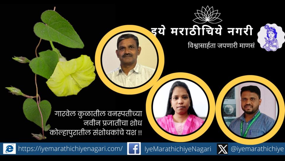 Discovery of a new species of plant in the garvel family Kolhapur Researchers Success