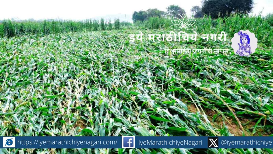 The waves of nature Datta Manugade article