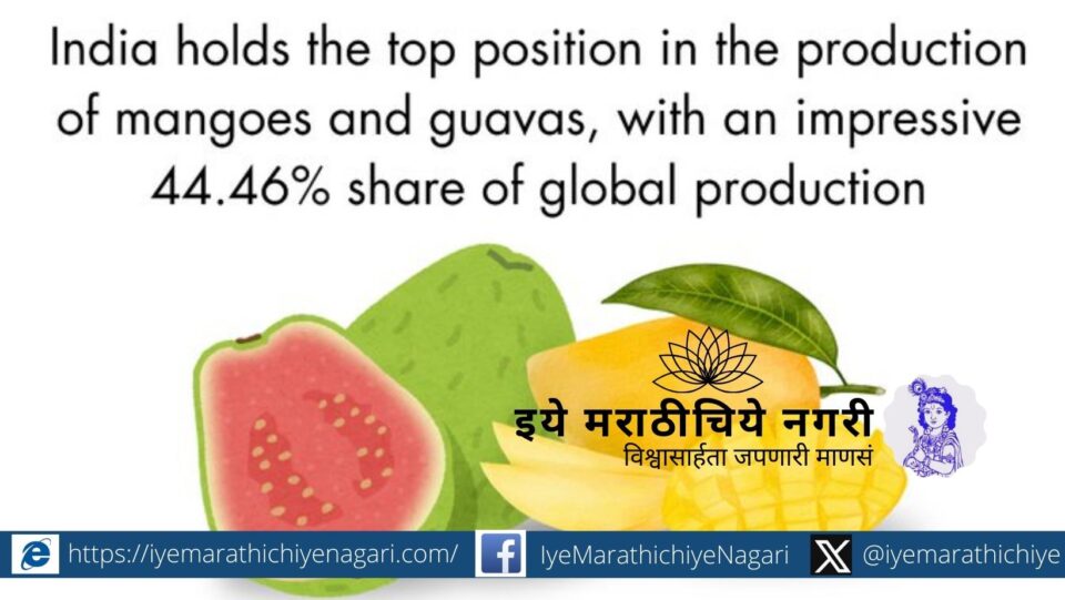 Apeda financial assistance schemes have led to a 47.3 percent increase in the country's fruit and vegetable exports