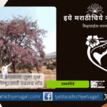 Tuma Tree Discovered in Shahuwadi First Record for Kolhapur District